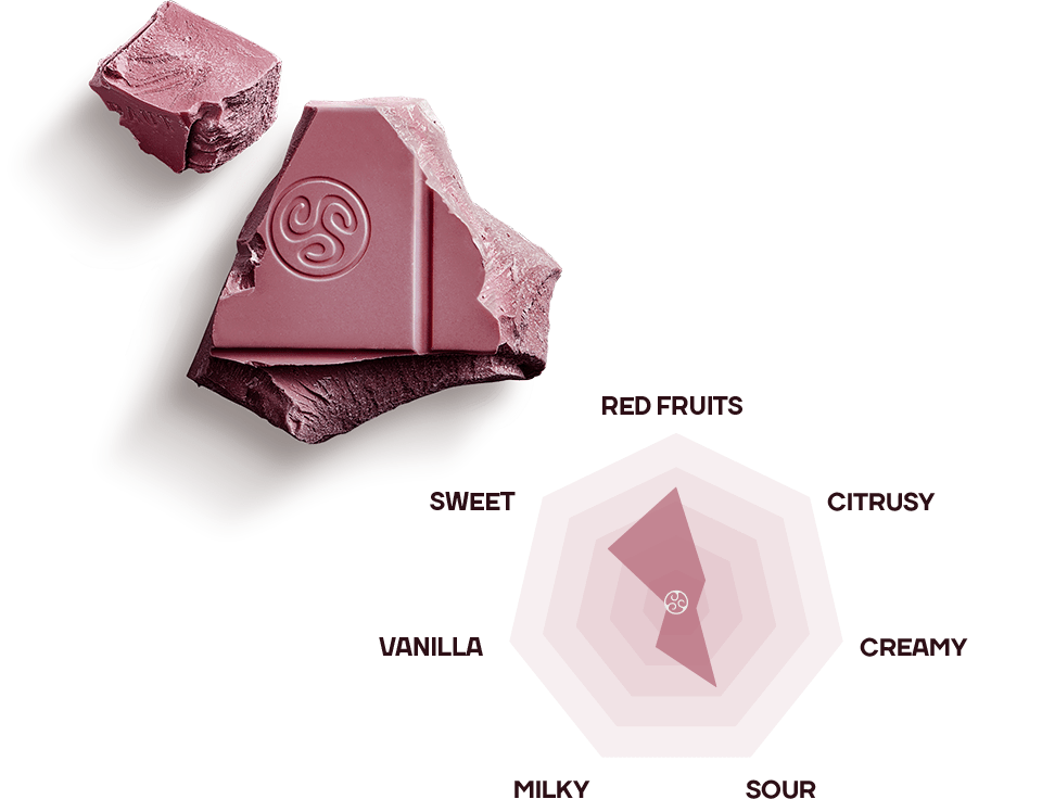 callebaut ruby chocolate rb2 taste spider