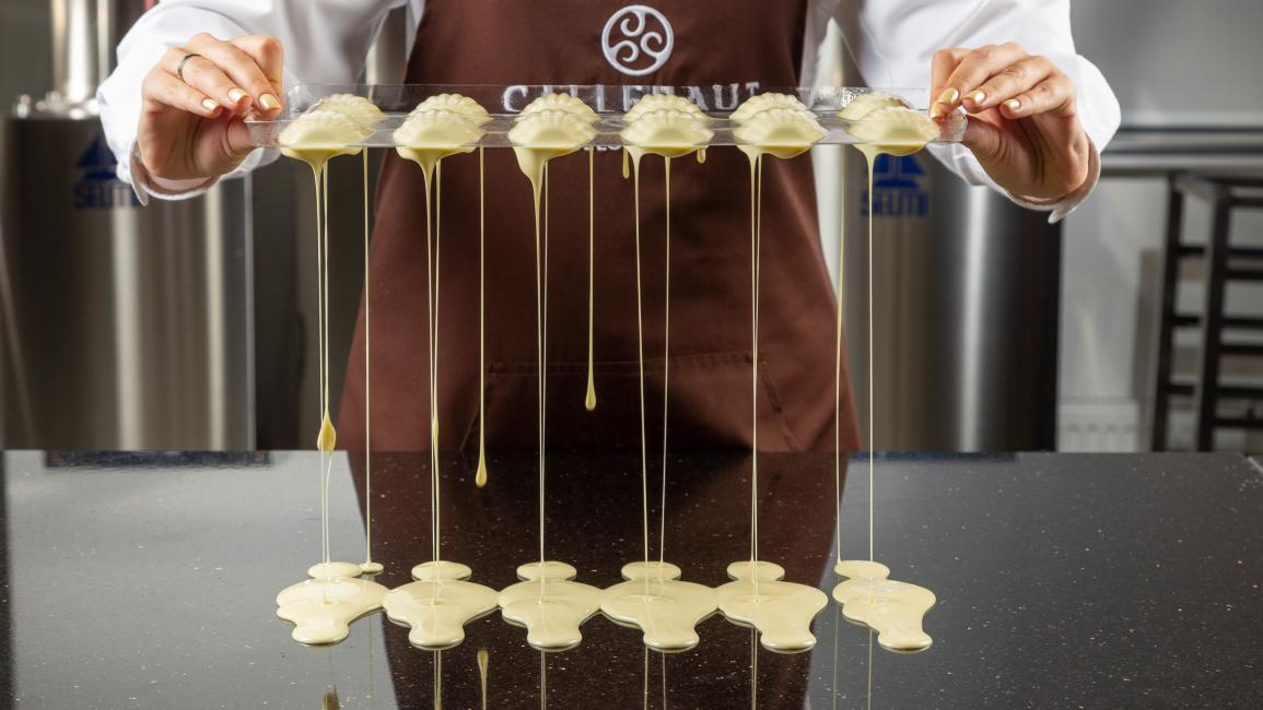 Callebaut: 5 цветов шоколада